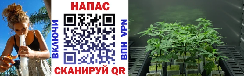Продажа наркотиков Устюжна COCAIN  Меф  ГАШ  Бошки Шишки 