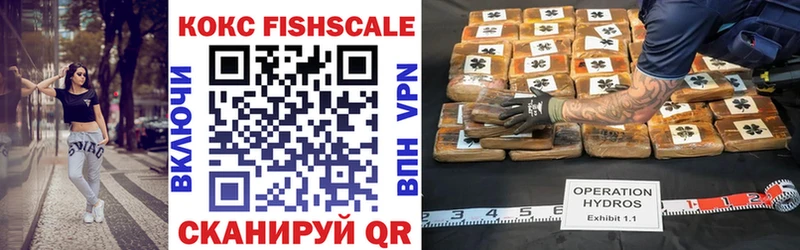 COCAIN Fish Scale хочу Устюжна