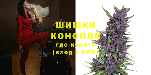 гидра Аркадак