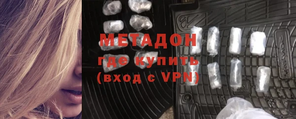 индика Арсеньев