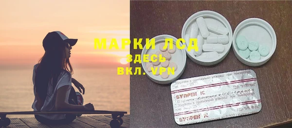 индика Арсеньев
