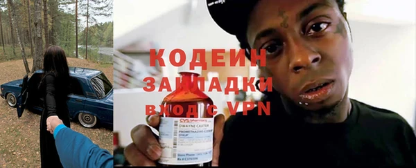 индика Арсеньев