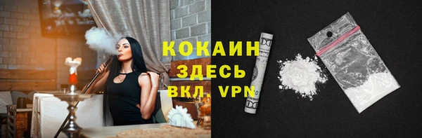 индика Арсеньев