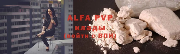 индика Арсеньев