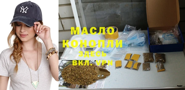 индика Арсеньев