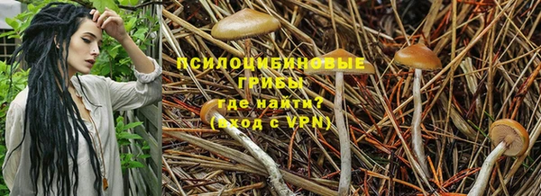 гидра Аркадак