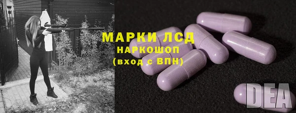индика Арсеньев