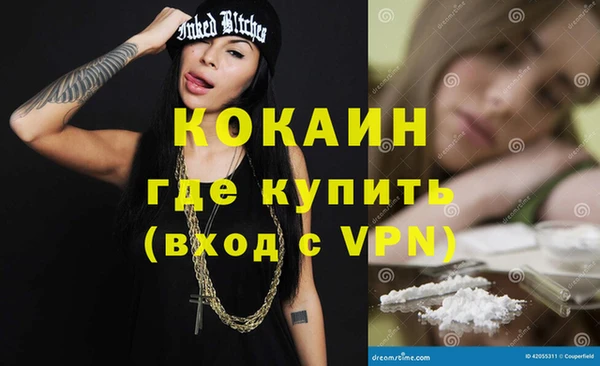 индика Арсеньев